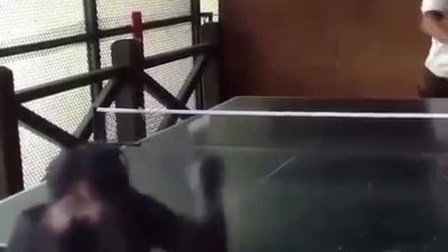 Sports funny mistakes, fun day