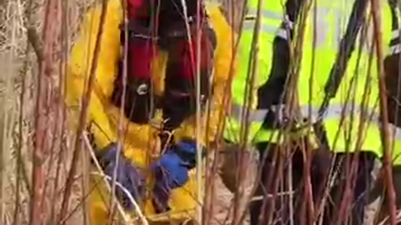 Oh, Deer!! Minnesota Firefighters Rescue Deer Trapped on Frozen Lake