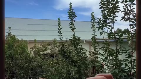 Bounce On Water?