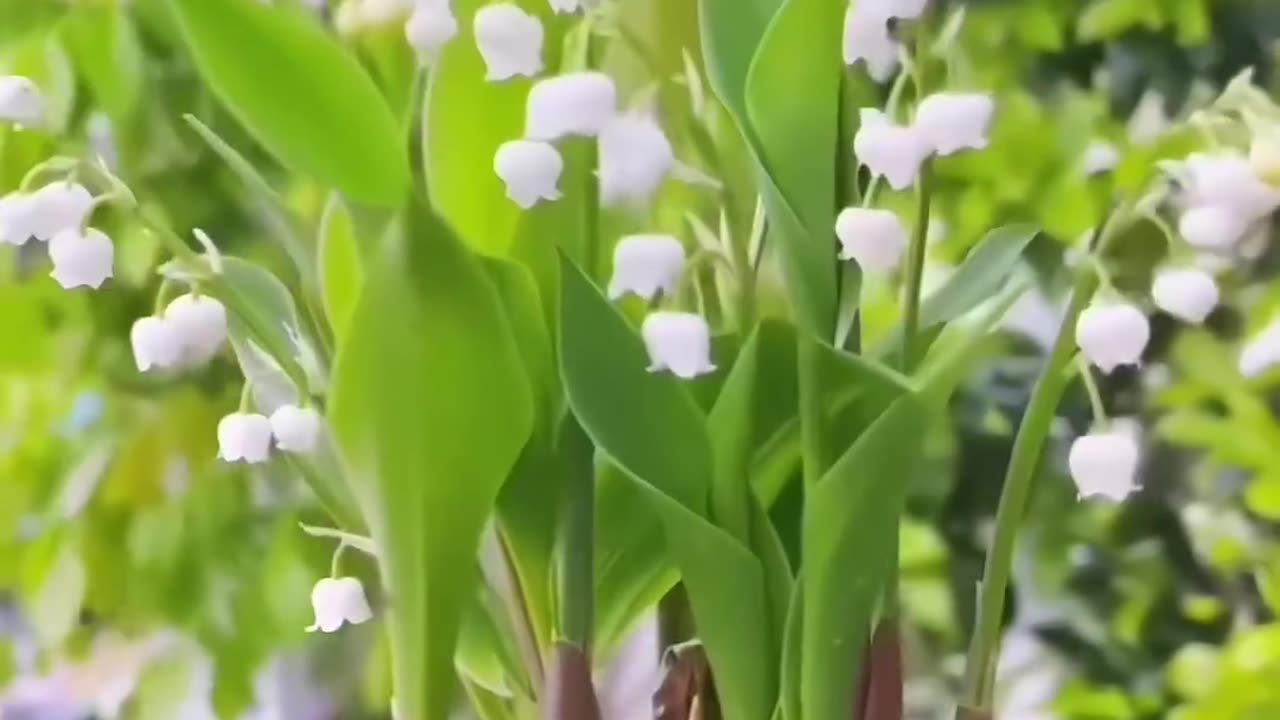 Home gardening best products https://rb.gy/axkeu8