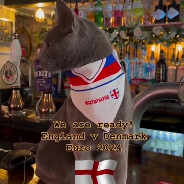 A purr-fect pint! The cats that love a traditional British boozer
