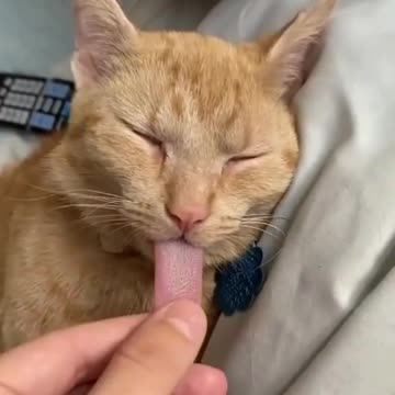 His tongue is so long