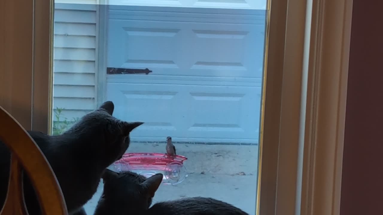 She Has Faith That One Day She Will Get It