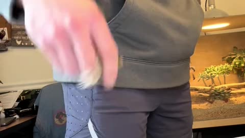 When They Ask What I Bring to the Table… Baby Chickens