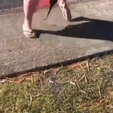 A legenda é com vocês! #😂