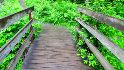 Foot Bridge