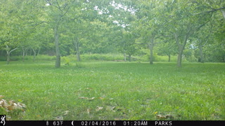 Getaway squirrel at the Nut farm