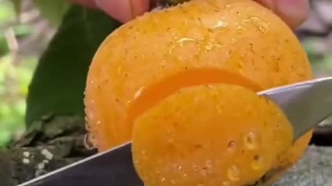 Fruits Video Farm Fresh Ninja Fruit Cutting Satisfying Fruit | Amazing Fruits Video #fruits #short