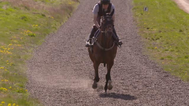 Horse Race Galloping Slow Motion
