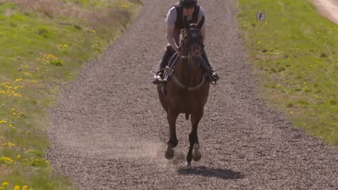 Horse Race Galloping Slow Motion