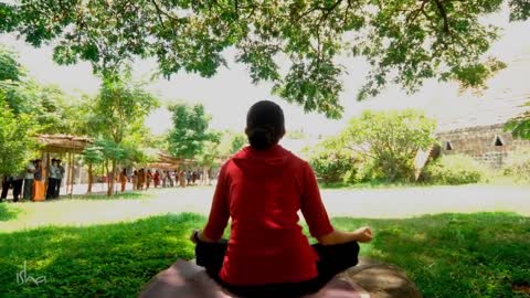 Stress Relief Meditation Music