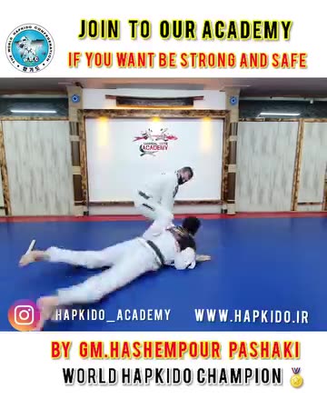 Hapkido