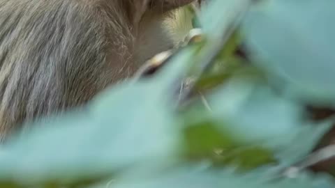 Wildlife & Funs