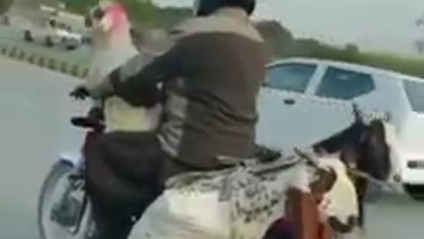 Funny Video