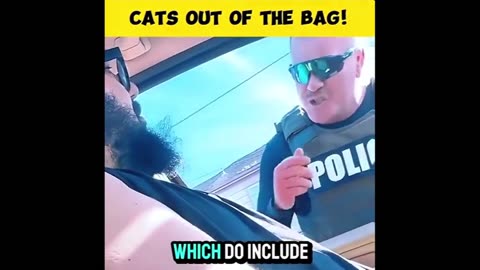 Cats out of the bag - Reloaded from Renard