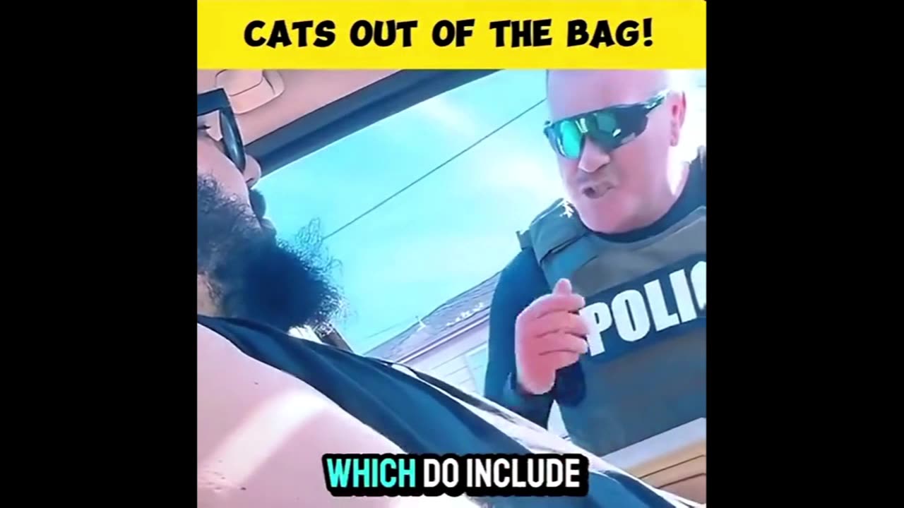 Cats out of the bag - Reloaded from Renard