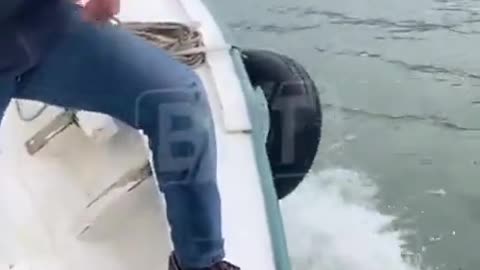 Man saves bear cub that probably didn't need saving
