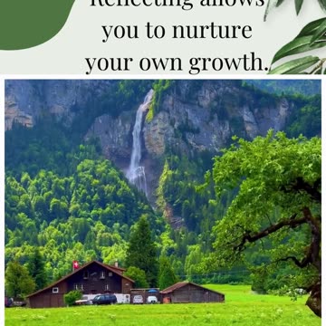Reflect on the Growth Within
