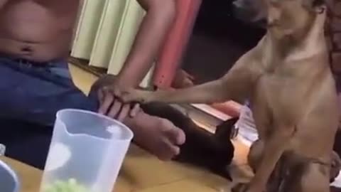 Can you Come Back home