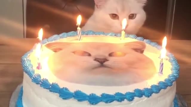 Kitty birthday performance on kack।।
