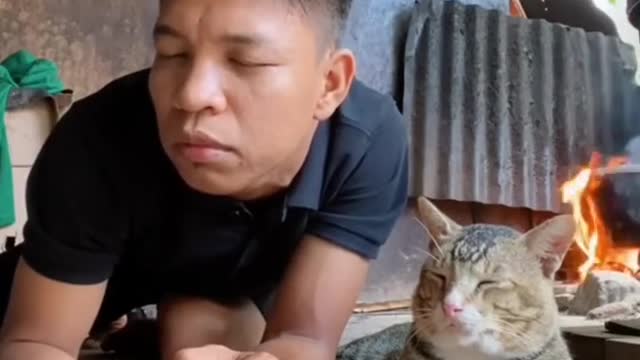 funny guys copying a cat