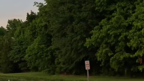 Explore Charlotte's Efficient Public Transportation System