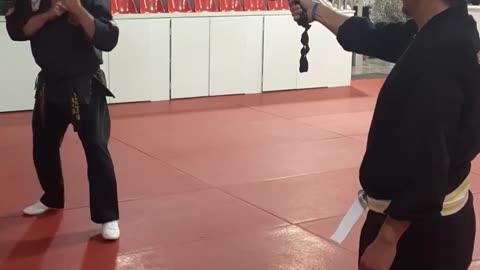 Tong Hap Kwan Hapkido Kicking Techniques