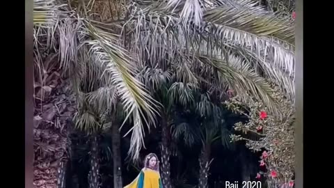How lazy you are do comment
