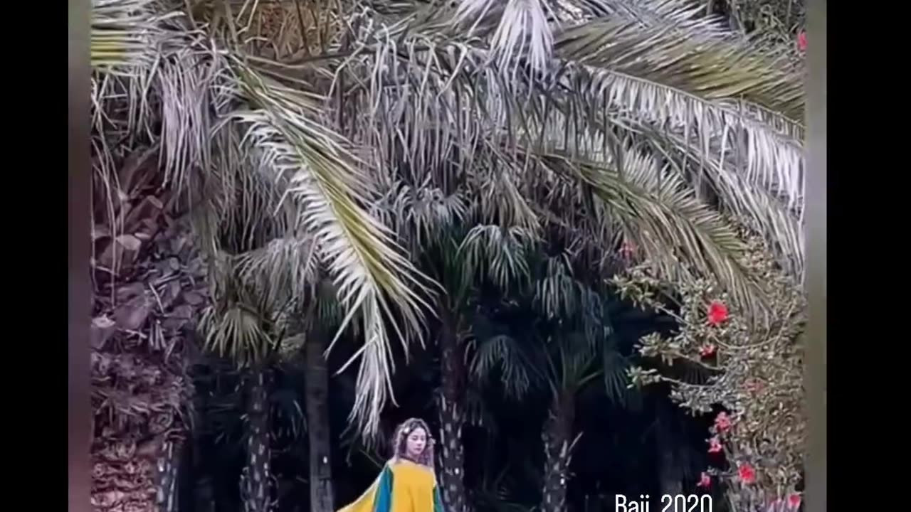 How lazy you are do comment