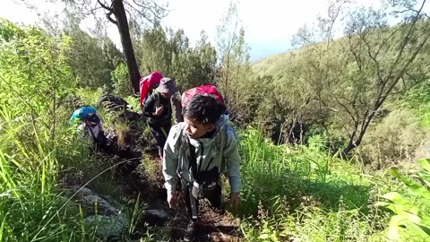 Mount arjuno