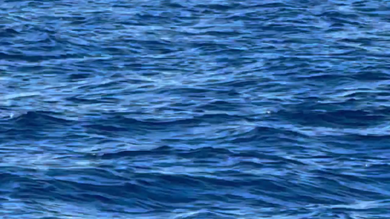 Whales Beautifully Breaching The Waves
