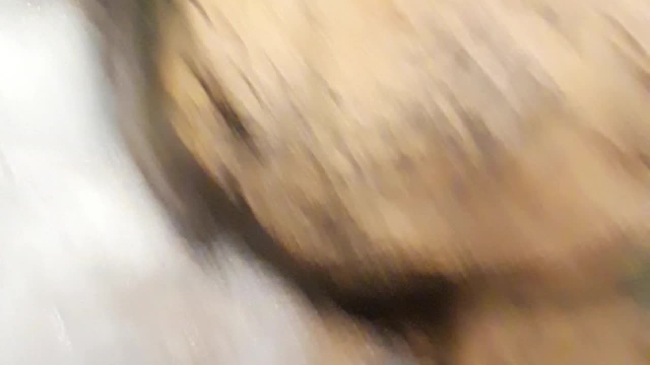 The LA Science Center Part 8