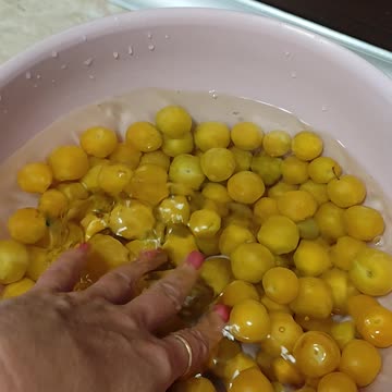 Fresh Mirabelles