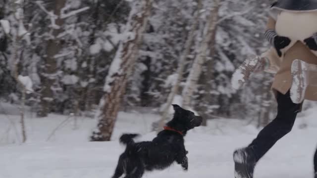 The dog plays with his friends in the snow, so beautiful😍 😍 💓