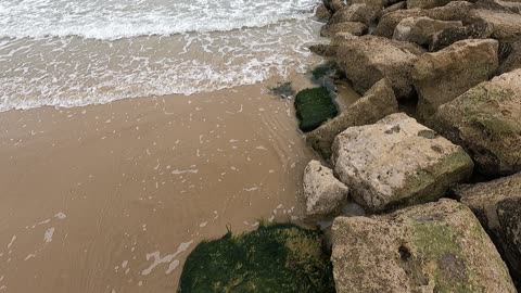 Ambient sound of the sea.