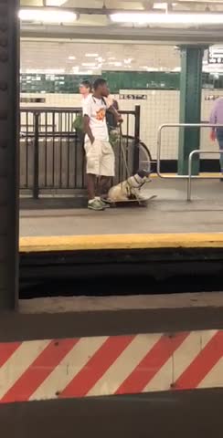 White dog laying down on top of skateboard subway station