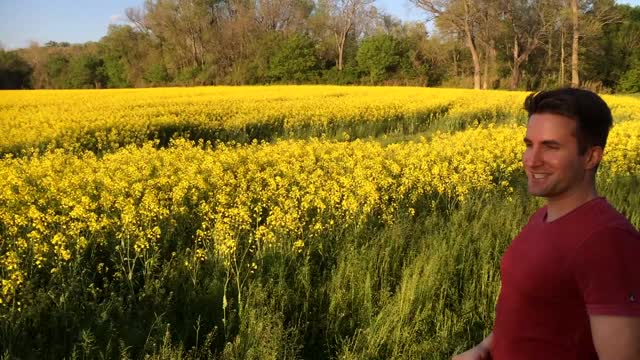 Canola Field in Asheville North Carolina