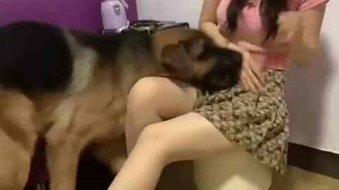 Dog arguing with mom