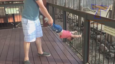 FORGET CATS! Funny KIDS vs ZOO ANIMALS are WAY FUNNIER! - TRY NOT TO LAUGH bb