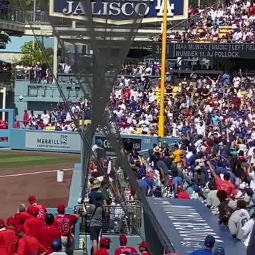 Dodgers Ball Girl Tackles Unruly Fan Security Couldn’t Catch