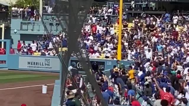 Dodgers Ball Girl Tackles Unruly Fan Security Couldn’t Catch