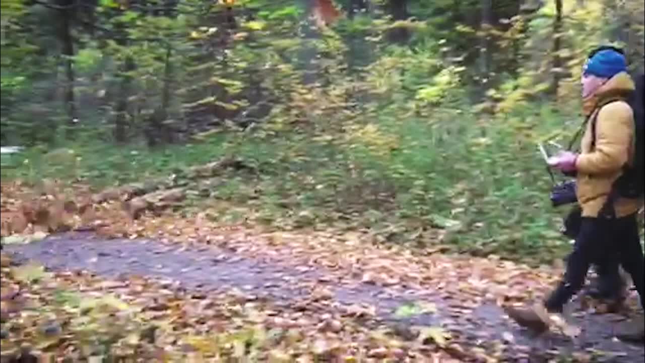 Drone doubles as leaf blower, clears away perfect path