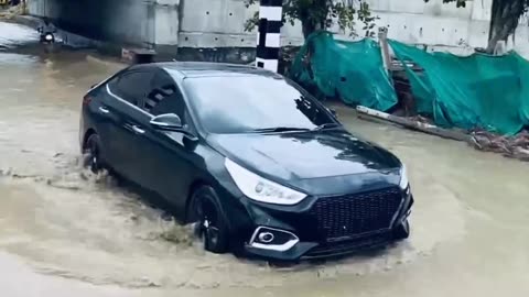 Modified verna