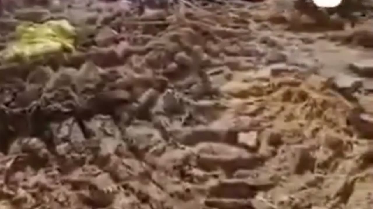 Western-Supported Zionist War Crimes