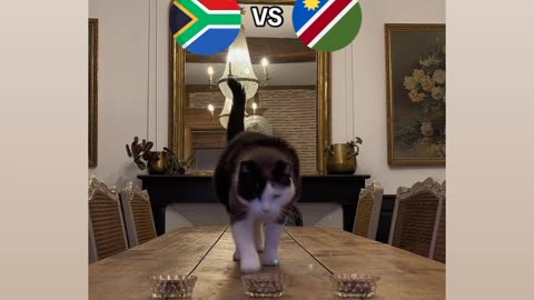 Today's Afcon: South Africa vs Namibia