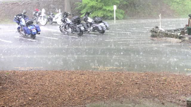 Harley’s tail of the dragon