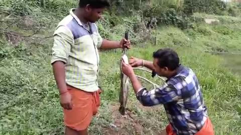 viral fishing