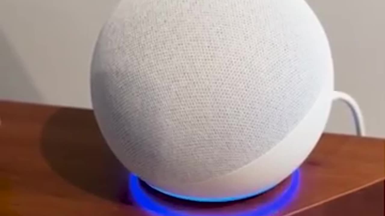 Why vote for Trump Why vote for Harris Amazon's Alexa gives shockingly different