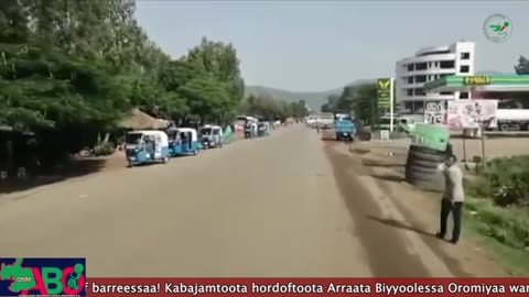 Oduu Waaree ONM-ABO Onkololessa 15-2024 itti dhiyaadhaa!