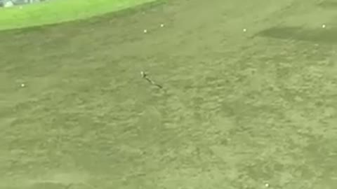 Golf is life driving range guy throws club onto range